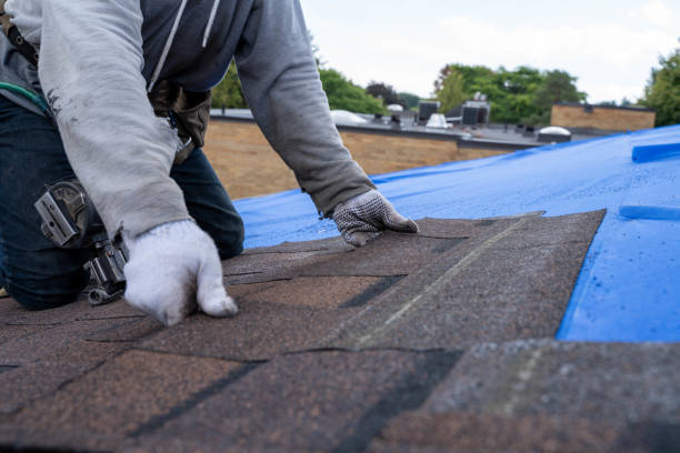 Best Roof Leak Repair  in Urania, LA